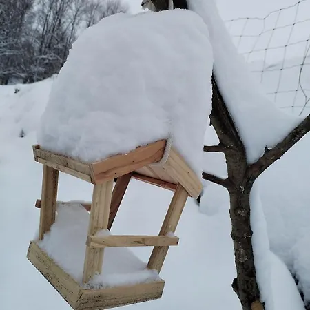 Tinyhouse Cecilka